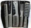 E0055 Brush-Comb Set.JPG (987784 bytes)