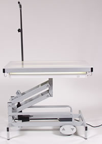 Edemco F900 Electric Lighted Grooming Table